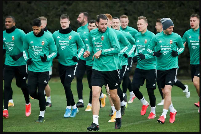 হাঙ্গেরি : মৃত্যুকূপে কঠিন পথচলা