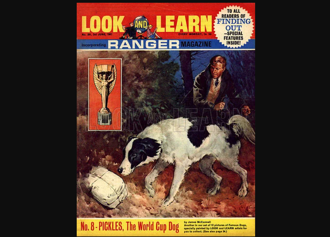 বিশ্বকাপ ফুটবলে বিচিত্র যত কাহিনি